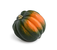 Acorn Squash