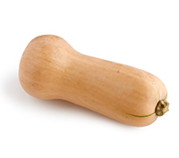 Butternut Winter Squash