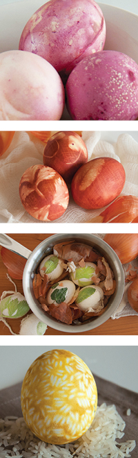 A variety of naturally dyed eggs