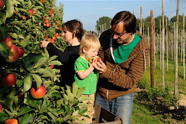 10_Ways_for_Kids_to_Go_Local1_0