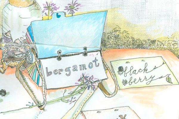 A_Foragers_Rolodex_0