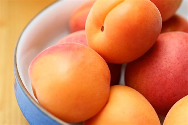 Apricots1_0