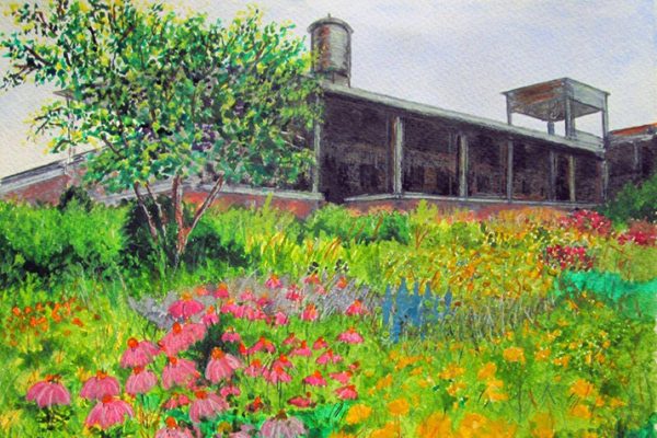 Artspace_in_the_Marketplace_Pollinator_Garden_Chatham_Marketplace_Gorrest_Greenslade_0