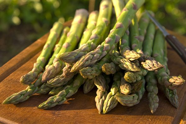 Asparagus_A_Sure_Sign_of_Spring_0
