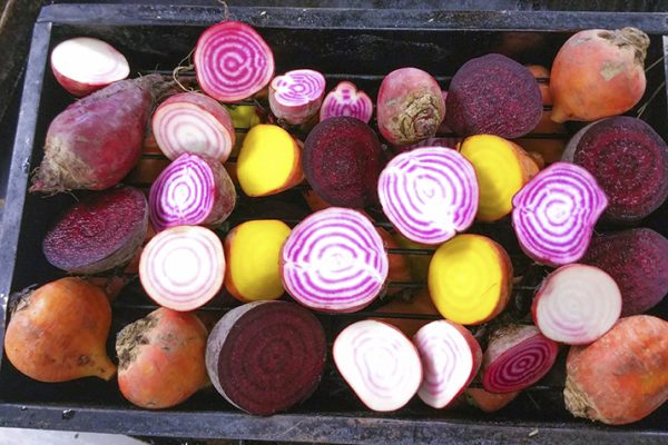 Beets1_0