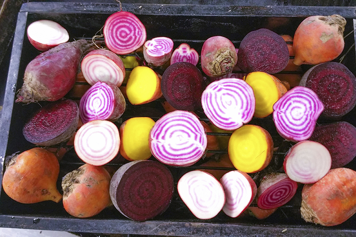 Beets1_0
