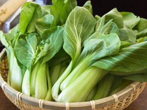 Bok_Choy_0
