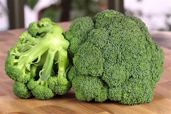 Broccoli1_0
