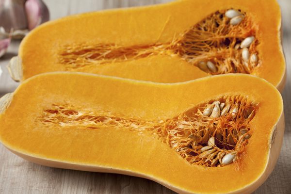 Butternut-Squash11_0