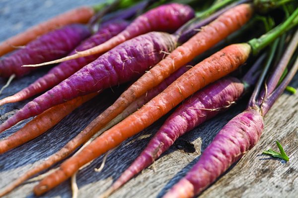 Carrots1_0