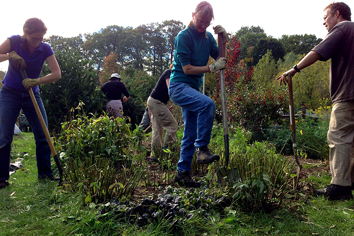 Co-op Fosters Community Volunteering