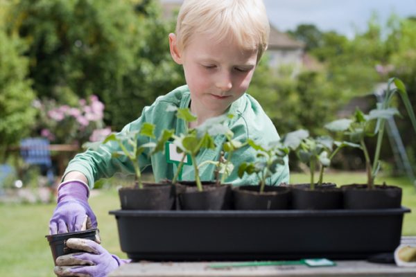 DIY_Food_Why_Every_Kid_Should_Learn_to_Garden_0