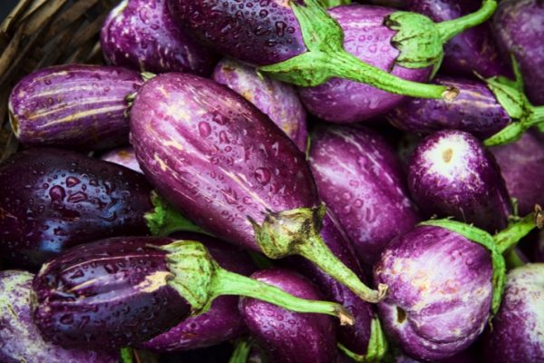 Eggplant1_0