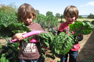 Encouraging_the_Gardening_Gatherer_Gene_0