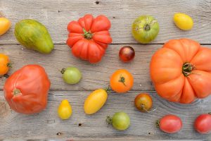 Fabulous-Must-have-Heirloom-Tomatoes_0