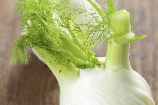 Fennel1_0