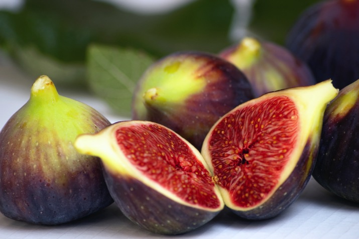Figs1_0