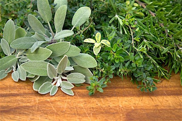 Fresh_Herbs_Primer_0