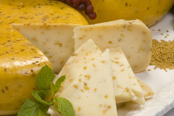 Gouda2_0