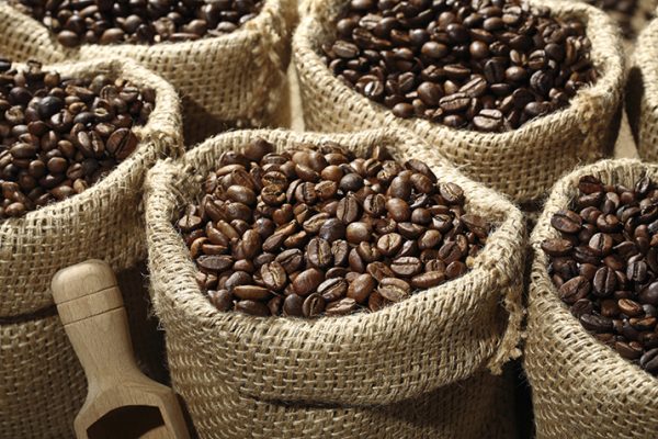 Growing_Coffee_with_a_Conscience_0
