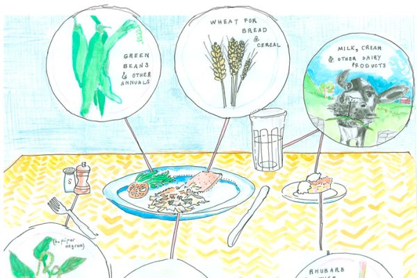 History_as_a_Two_Course_Meal_0
