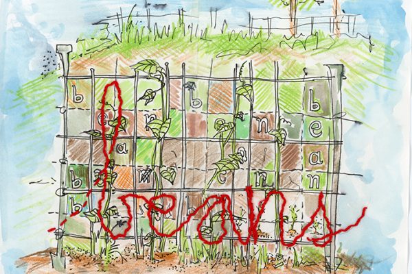 My_Green_Bean_Problem_Some_Homely_Observations_and_a_Pact_0