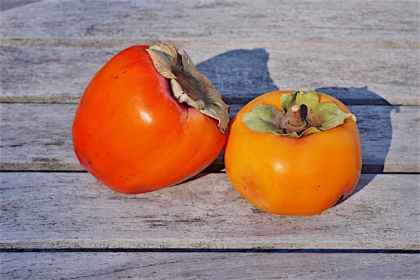 Persimmons_0