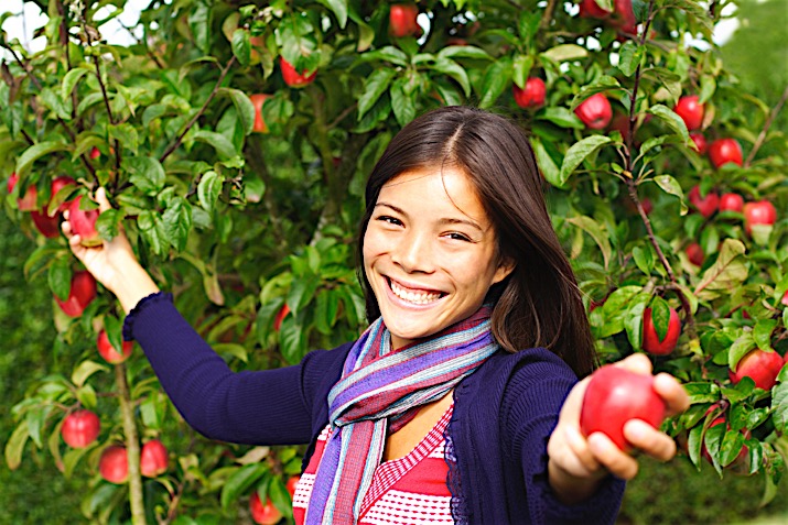 Pesticides
