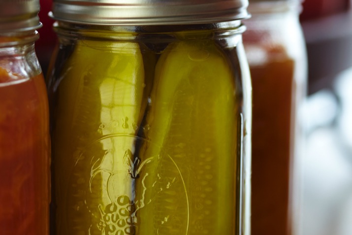 Pickle_in_the_Nickel_of_Time_0