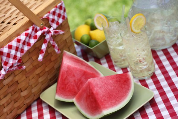 Planning_a_Summer_Picnic_0