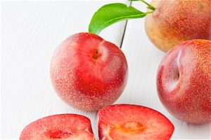 Pluots_0