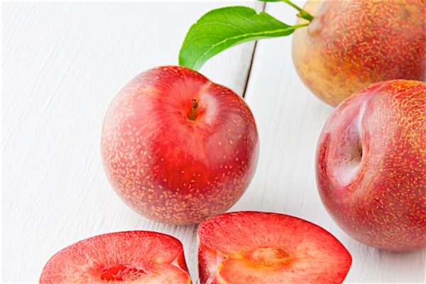 Pluots_0