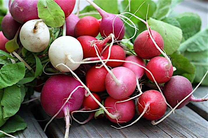 Radishes2_0