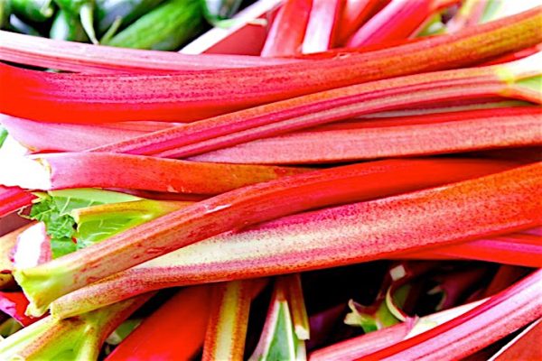 Rhubarb2_0