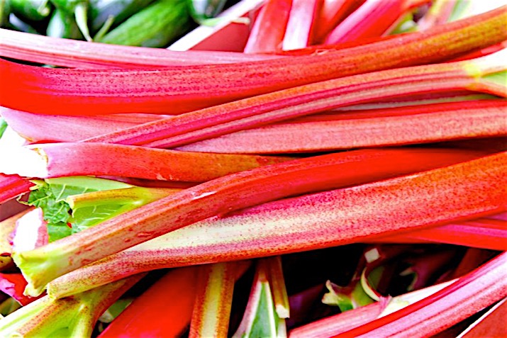 Rhubarb