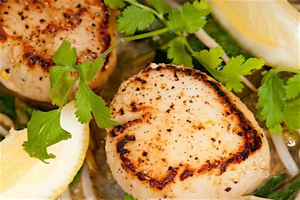 Rosemary_Pepper_and_Lemon_Spiced_Scallops_0