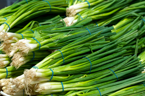 Scallions_0