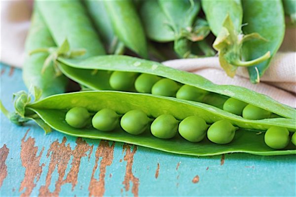 Snap_Peas_0