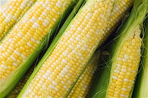 Soy_and_Corn_Healthy_Choices_or_Hidden_Ingredients_0