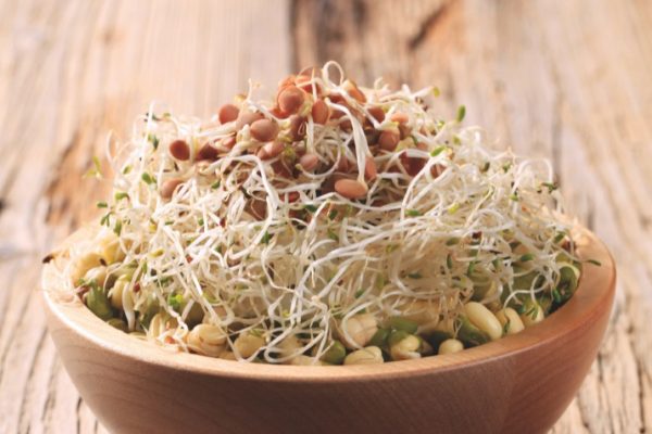 Sprouts1_0