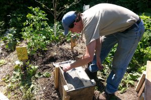 Syracuse_Real_Food_Co-op’s_Permaculture_Backyard_0