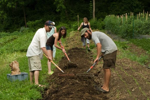 Urban_Agriculture_Leads_the_Way_in_Philadelphia_0
