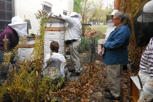 Urban_Beekeeping_Project_Keeps_Co-op_Buzzing_Ypsilanti_0