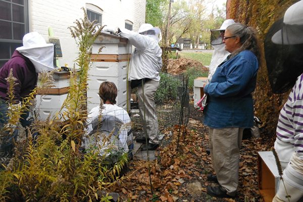 Urban_Beekeeping_Project_Keeps_Co-op_Buzzing_Ypsilanti_0