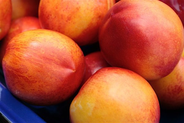 Warning_Im_Going_to_Eat_All_of_the_Local_Fruit_0