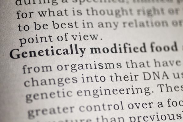 What_is_a_GMO_0
