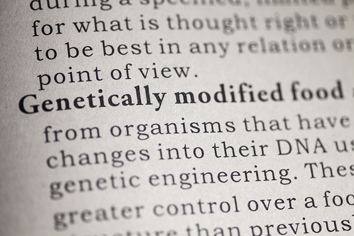 What_is_a_GMO_0