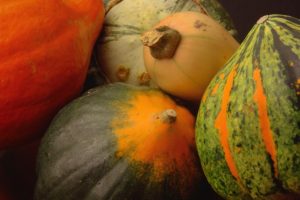 Winter_Squash1_0