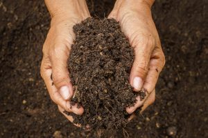 All_About_Soil