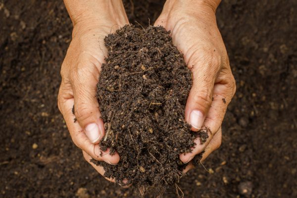 All_About_Soil